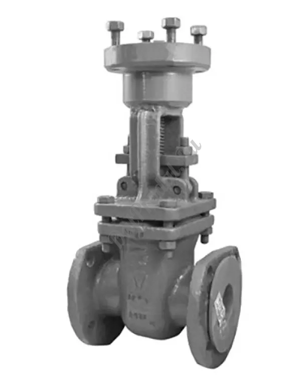 30ЛС941НЖ задвижка из легированной стали