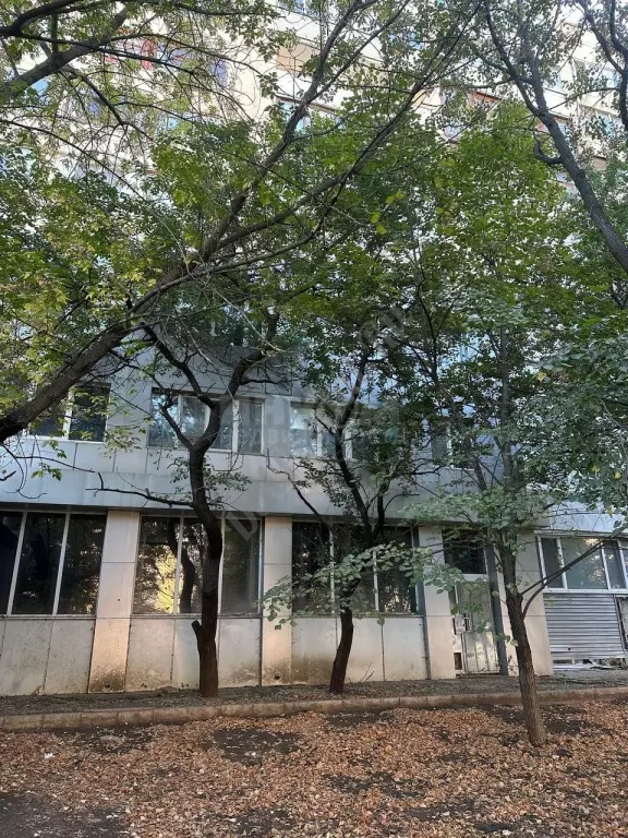 продам помещение в центре, первая линия 235м2