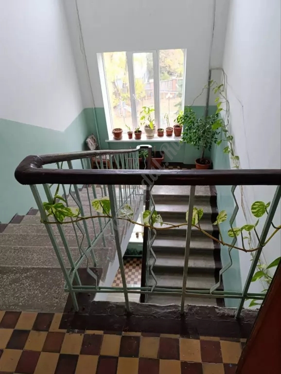 2-к квартира, 60 м2, 5/5 эт. Самый центр города