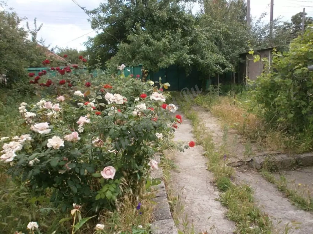 Продам дом по ул. Интернациональная , 67м2, 5 соток