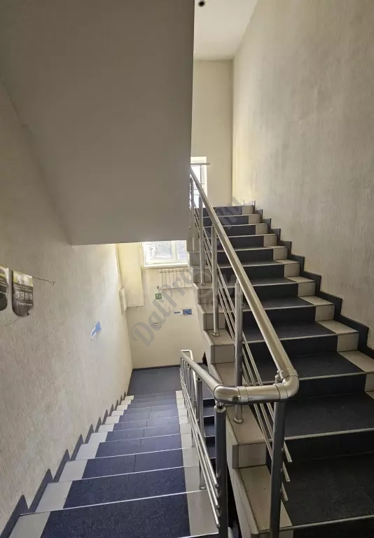 Продам помещение в центре 250м2