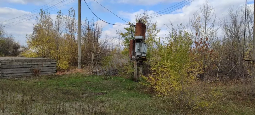 Продам участок 1га ЛНР