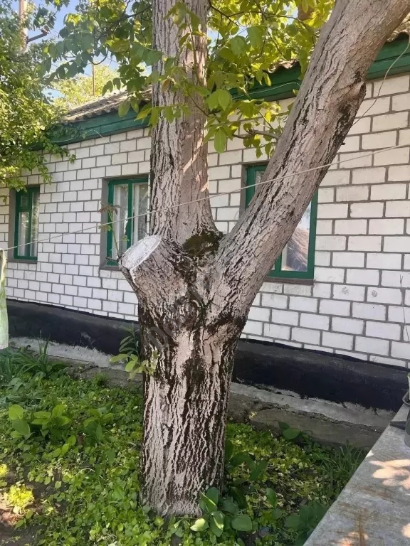 Продам 2а дома на участке в городе Луганск улица 22 Линия