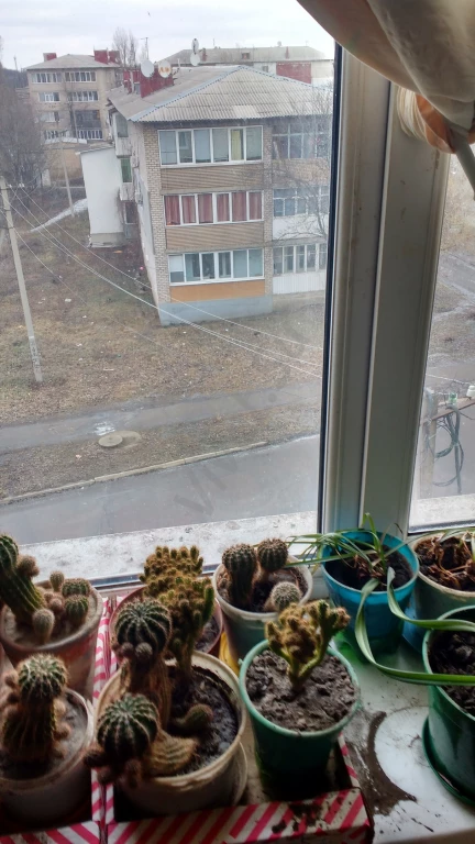 Продажа квартиры, 1 комната, 22.8 м², от собственника