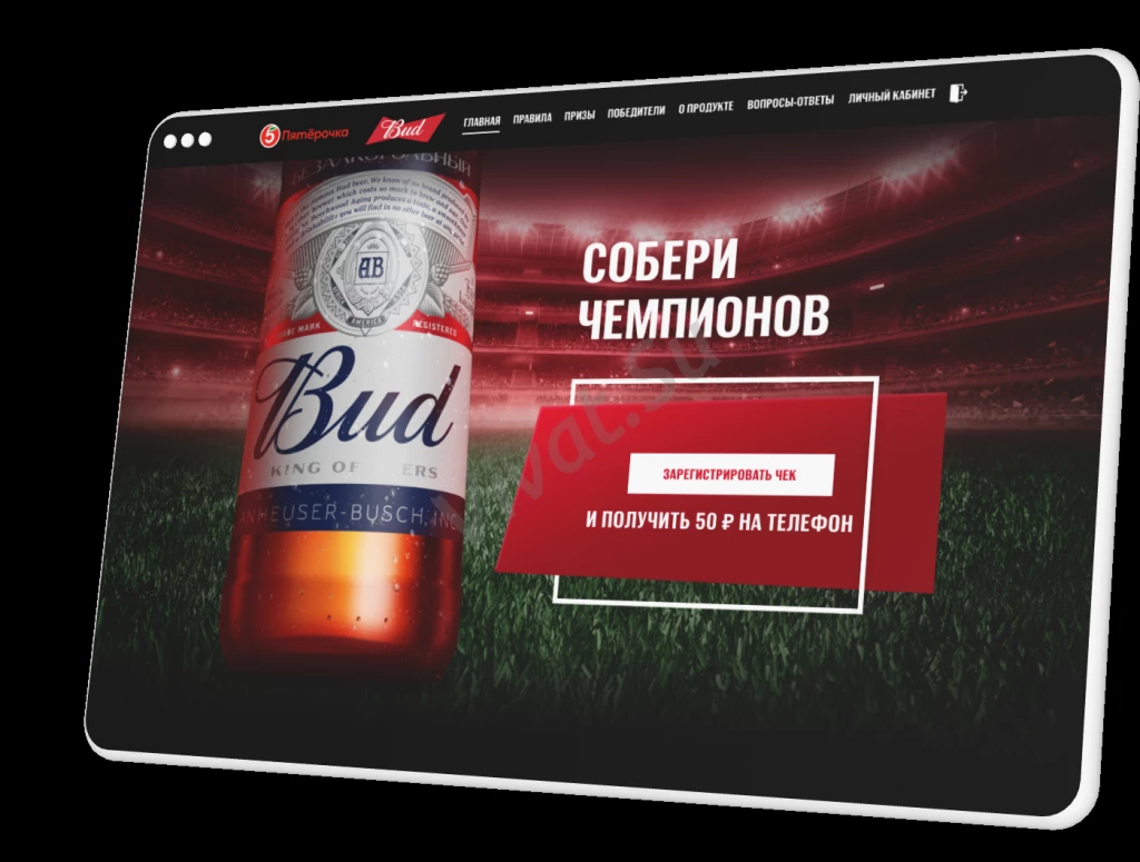 Веб-студия ASDEV в Луганске. Разработка и создание сайтов