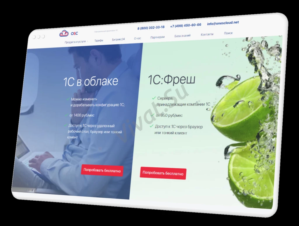 Веб-студия ASDEV в Луганске. Разработка и создание сайтов
