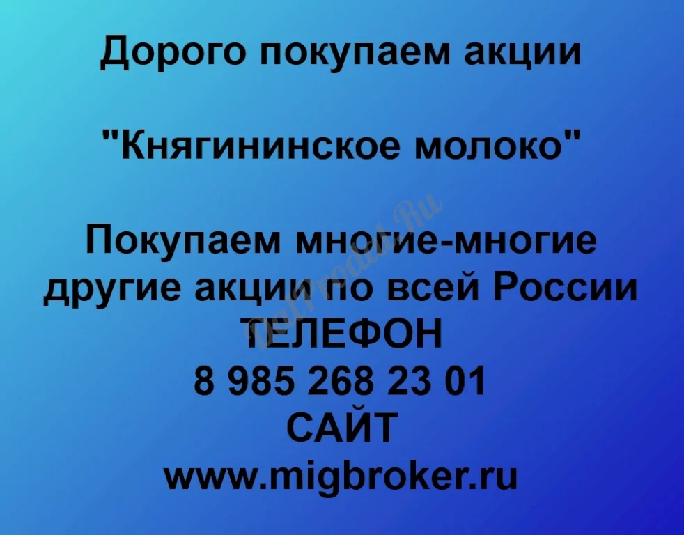 Покупаем акций «Княгининское молоко» по высоким ценам без налога!