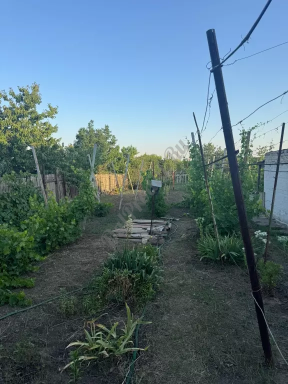 Продам дом в городе Луганск поселок Николаевка