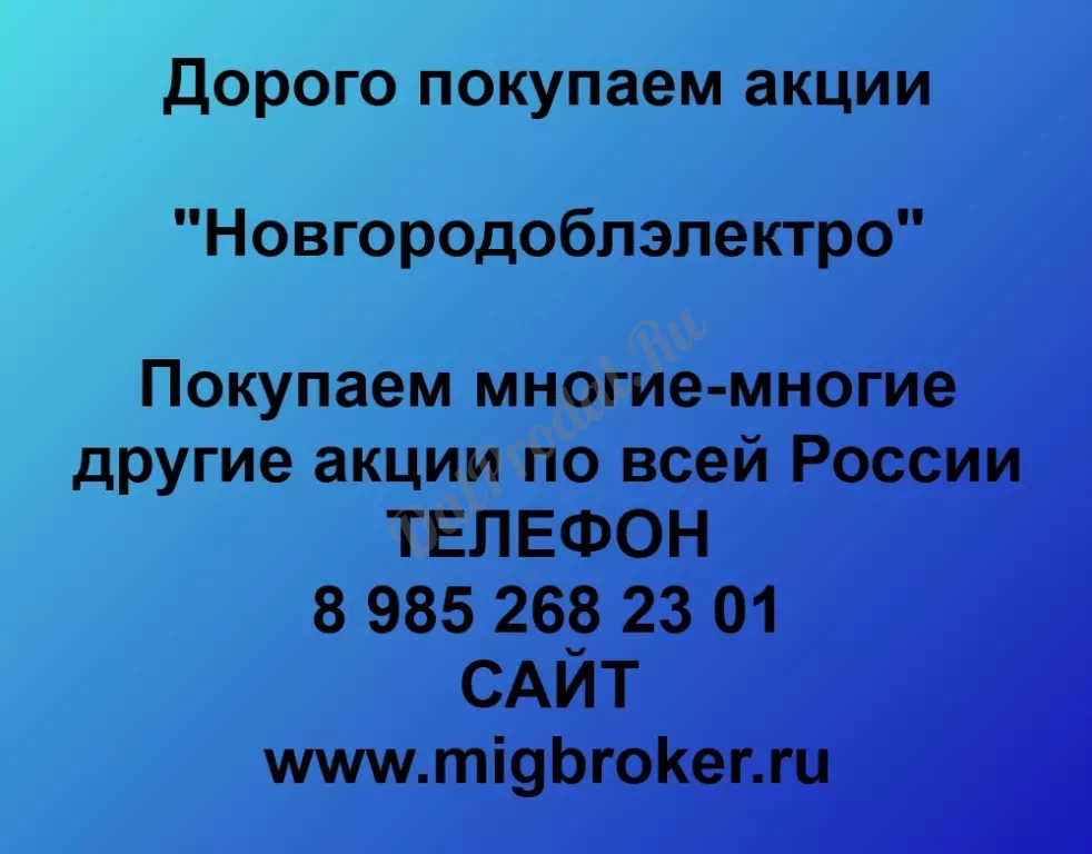 Покупаем акций «Новгородоблэлектро» по высоким ценам без налога!