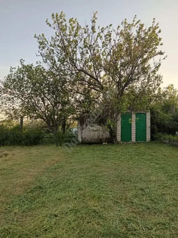 Дача возле Сабовки